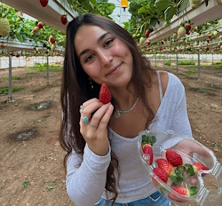אורי תותים קטיף עצמי, קטיף תותים